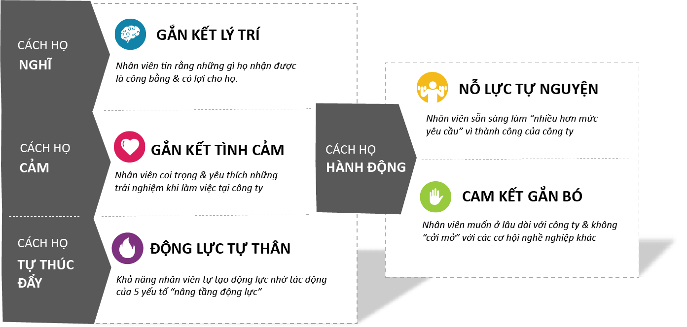 Mô hình độc quyền của Anphabe tư vấn cho các doanh nghiệp hàng đầu