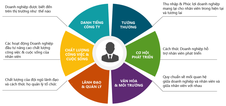 Bộ tiêu chí độc quyền do Anphabe phát triển, đo lường & cải tiến thường xuyên theo xu hướng người đi làm tại Việt Nam