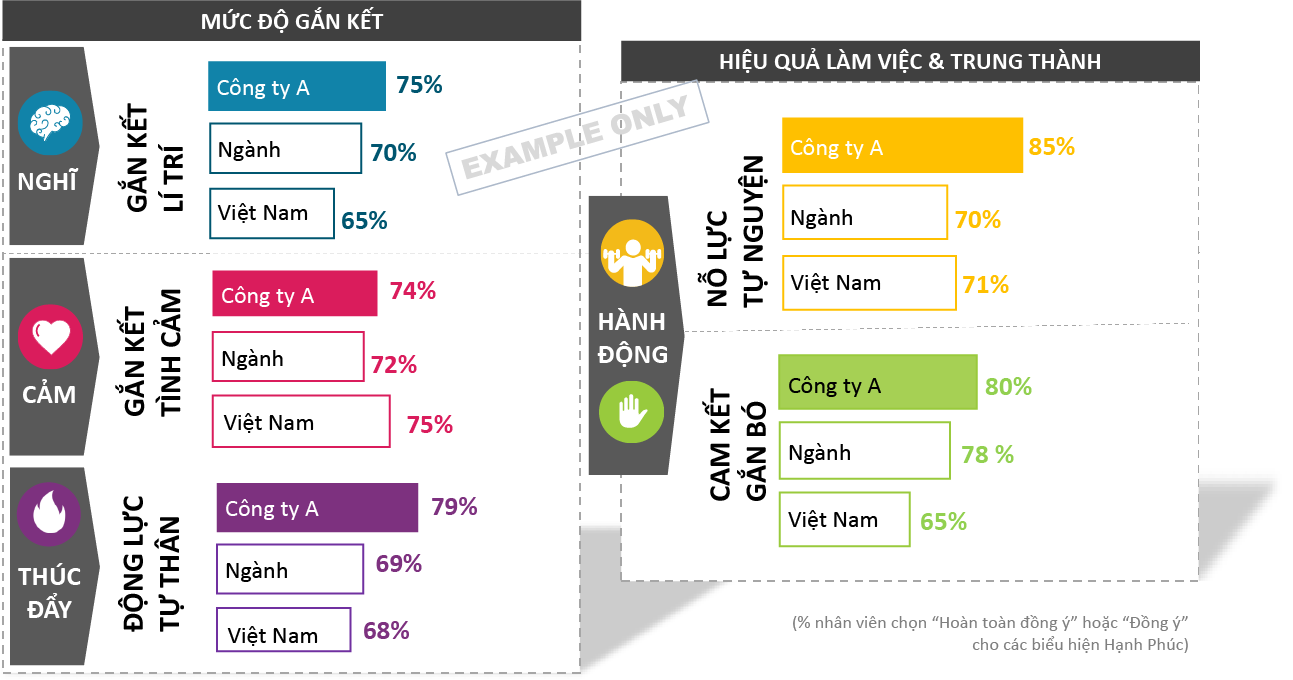 So sánh với tình hình chung trên thị trường Việt Nam